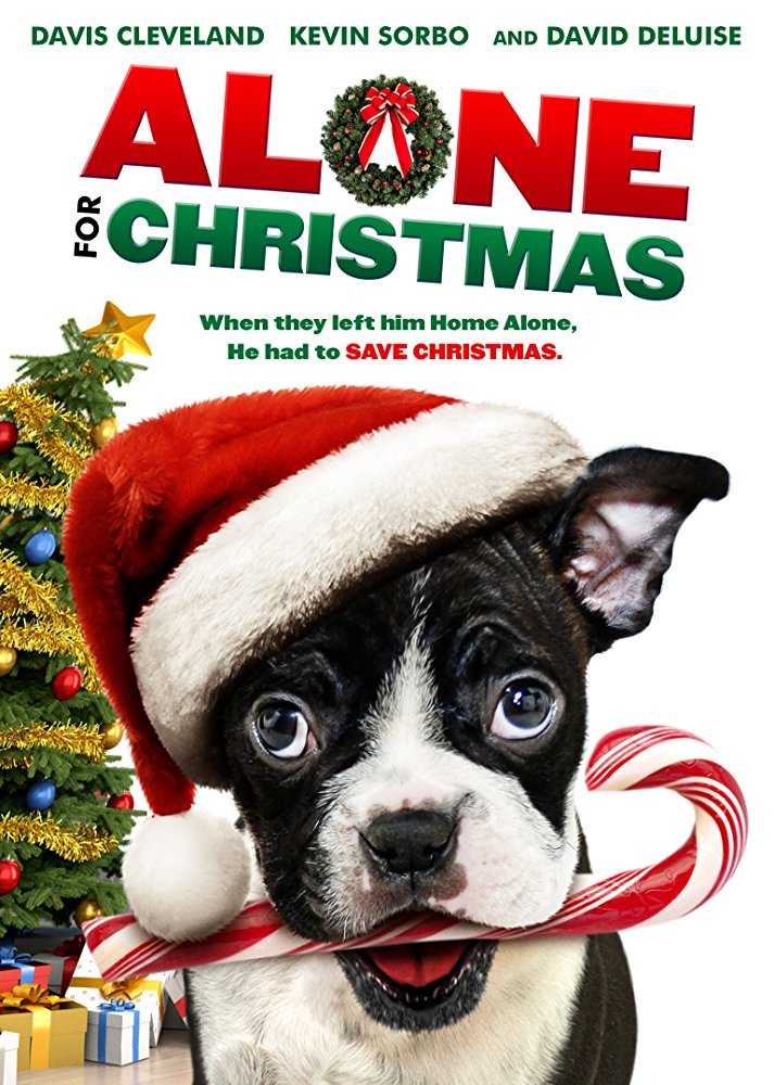 فيلم Alone for Christmas 2013 مترجم