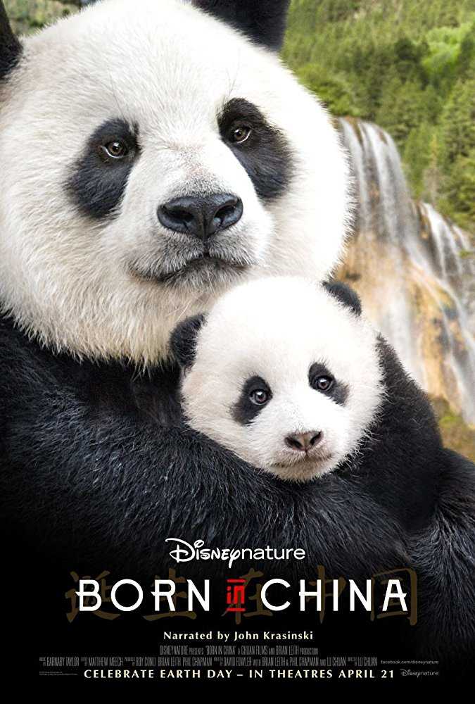 فيلم Born in China 2016 مترجم