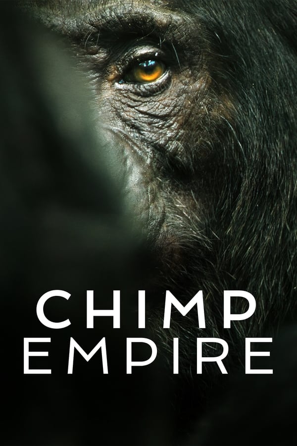 مسلسل Chimp Empire موسم 1 حلقة 3