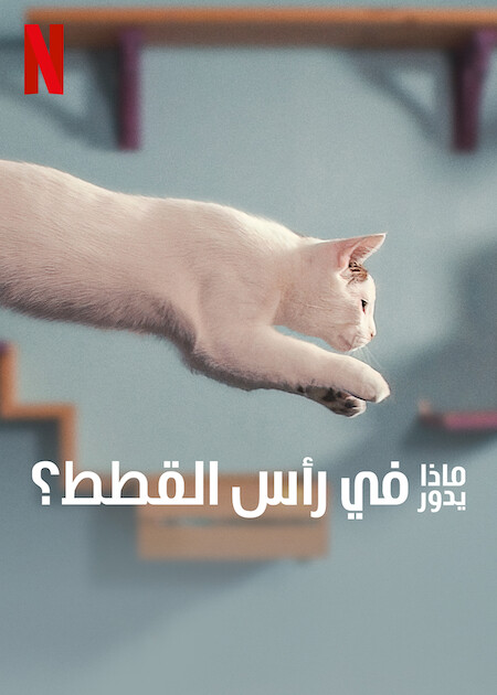 فيلم Inside the Mind of a Cat 2022 مترجم