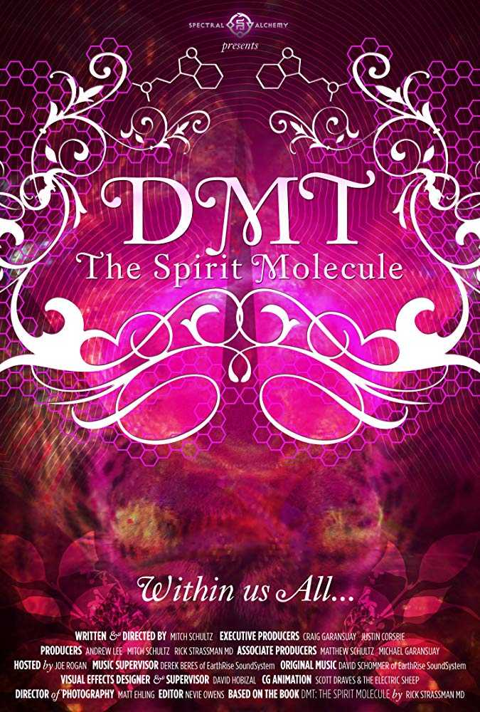 فيلم DMT The Spirit Molecule 2010 مترجم