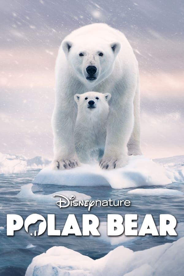 فيلم Polar Bear 2022 مترجم