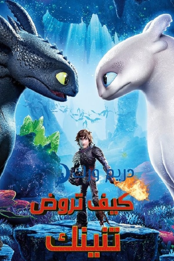 فيلم How to Train Your Dragon: The Hidden World 2019 مدبلج