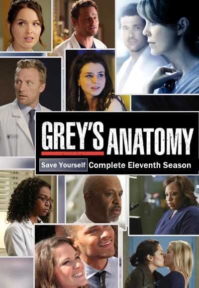 مسلسل Greys Anatomy موسم 11 حلقة 13