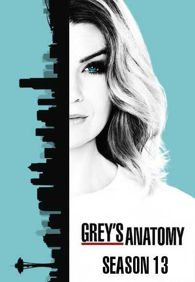 مسلسل Greys Anatomy موسم 13 حلقة 22