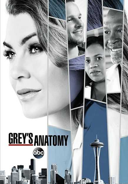 مسلسل Greys Anatomy موسم 14 حلقة 1