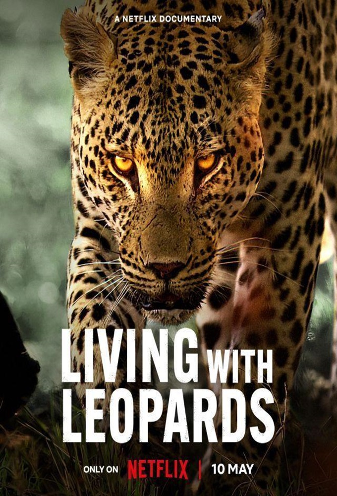 فيلم Living with Leopards 2024 مترجم